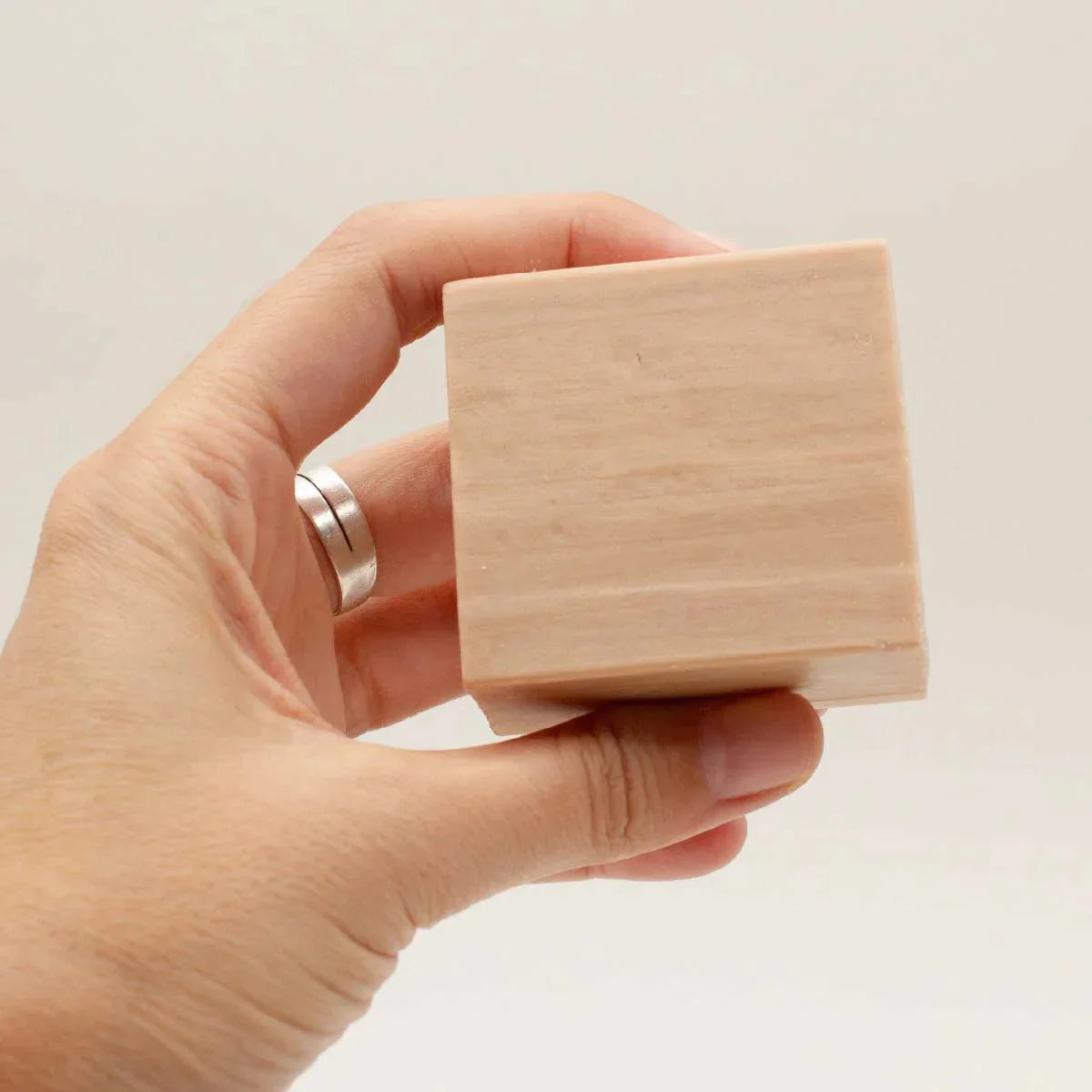 Shampoo Blok 100% natuurlijk voor normaal haar 75g Labnatur Bio Labnatur Nederland