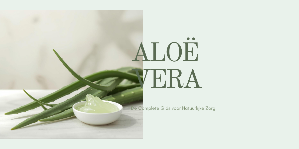 Aloë Vera: De Complete Gids — Werking, Voordelen en Toepassingen voor Huid, Haar en Lichaam