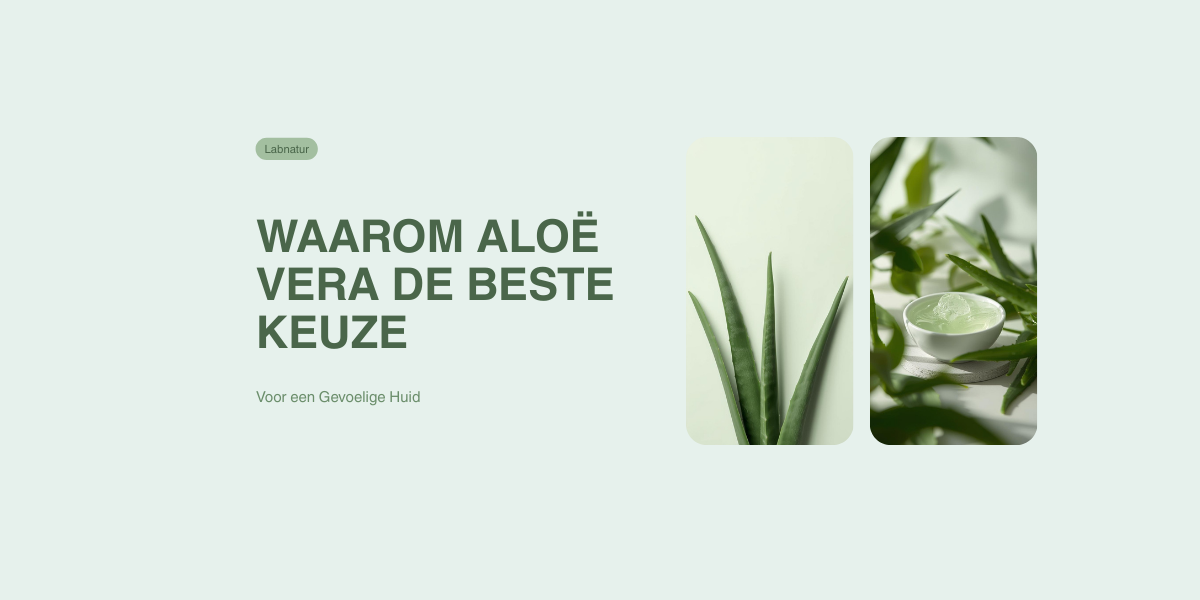 Waarom Aloë Vera de Beste Keuze is voor een Gevoelige Huid