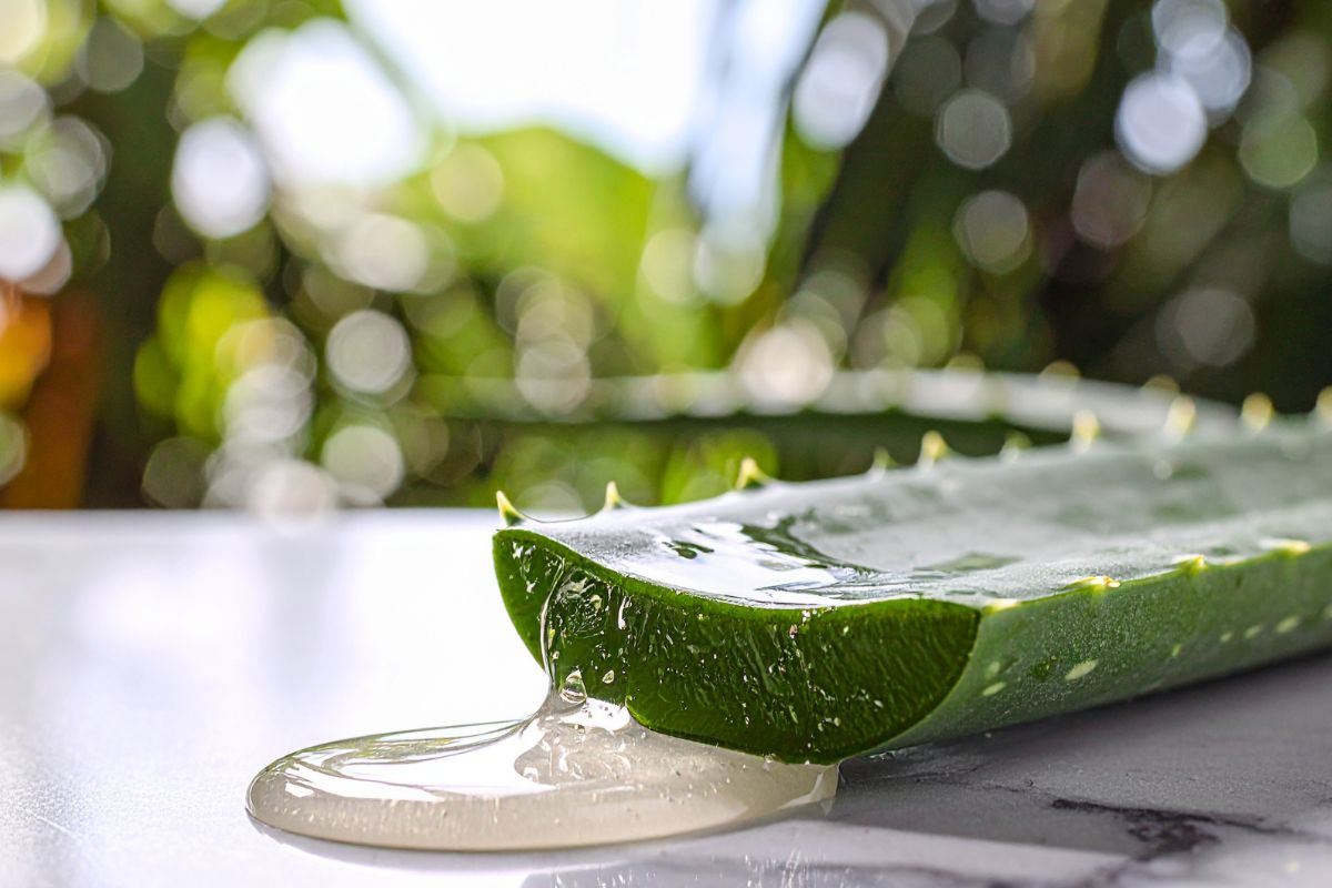 Aloe vera gel voor hydratatie en kalmering van de huid