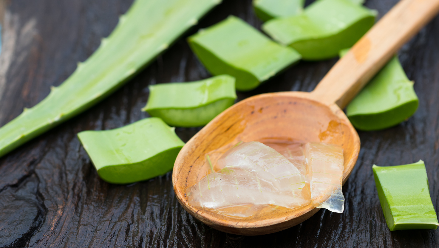 Aloe-vera-Gezicht Labnatur Nederland