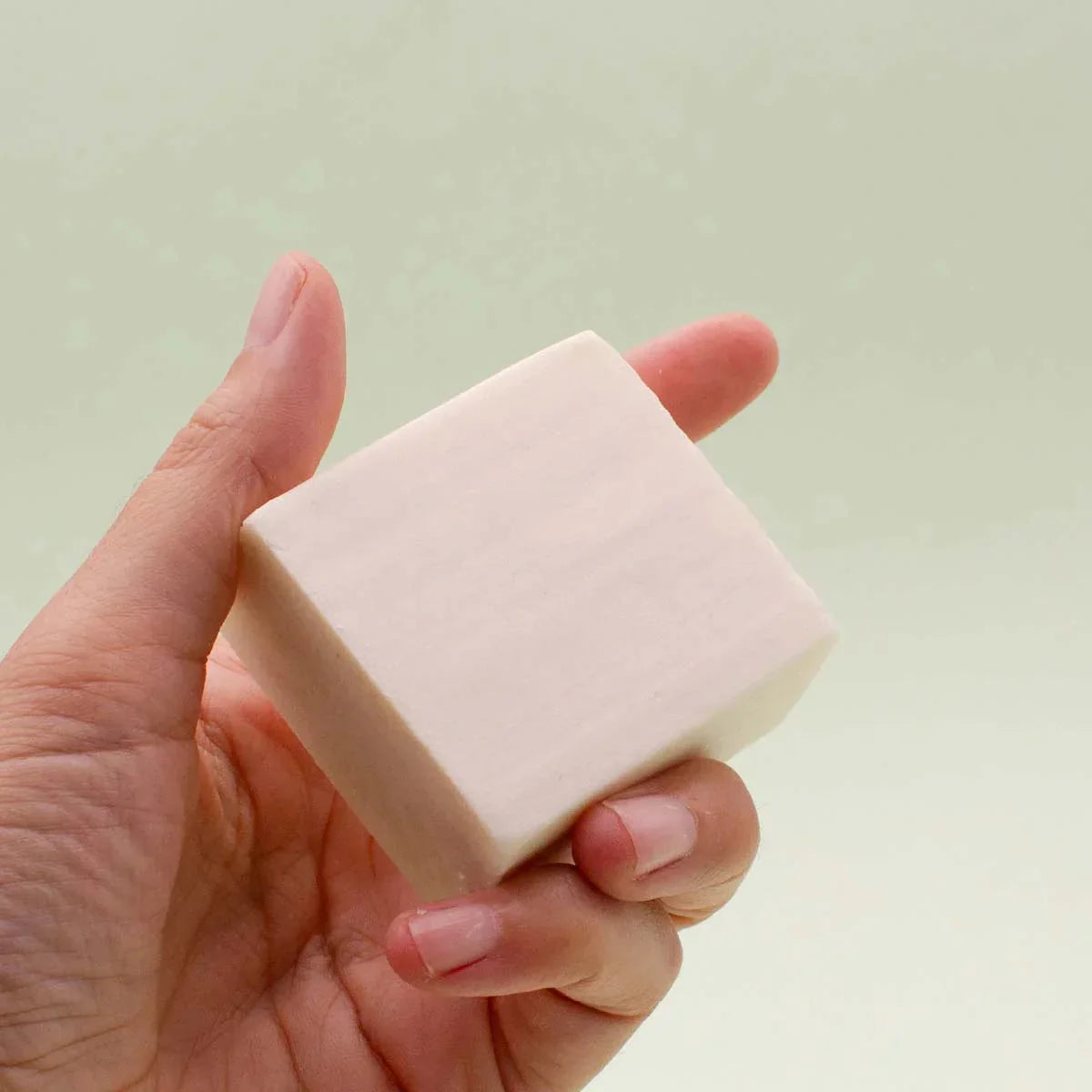 Shampoo Blok 100% natuurlijk voor droog haar 75g Labnatur Bio Labnatur Nederland